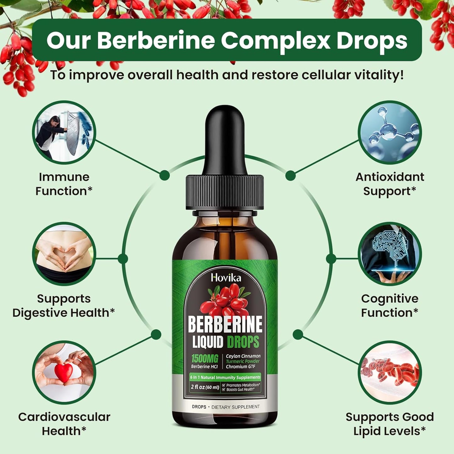 2 Pack Berberine HCL Liquid Drops - 1500mg Supplement with Ceylon Cinnamon, Chromium, Turmeric, Niacinamide - Supports Metabolism, Immune System, Gut Health Vegan