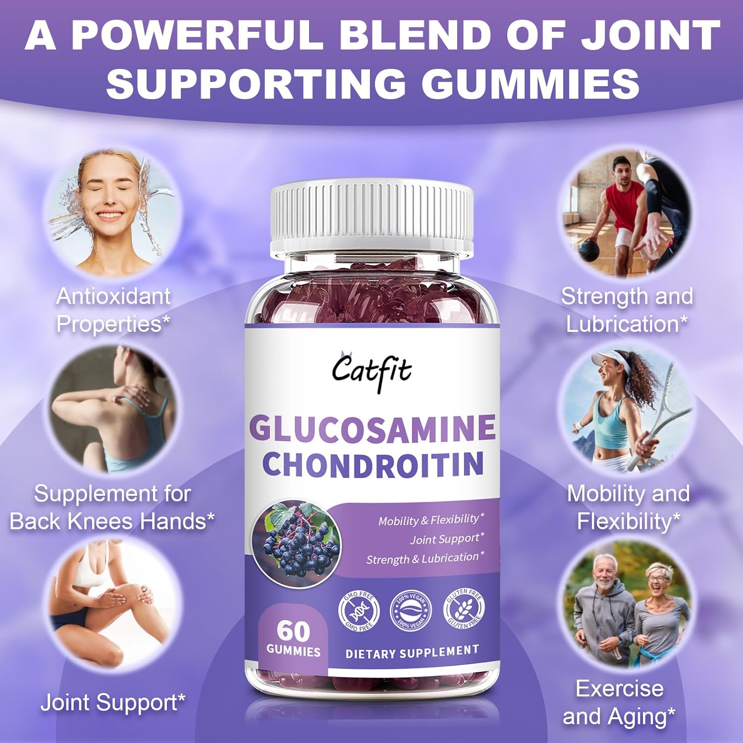 2 Pack Catfit Glucosamine Chondroitin Gummies with MSM, Elderberry - Joint & Immune Support for Adults