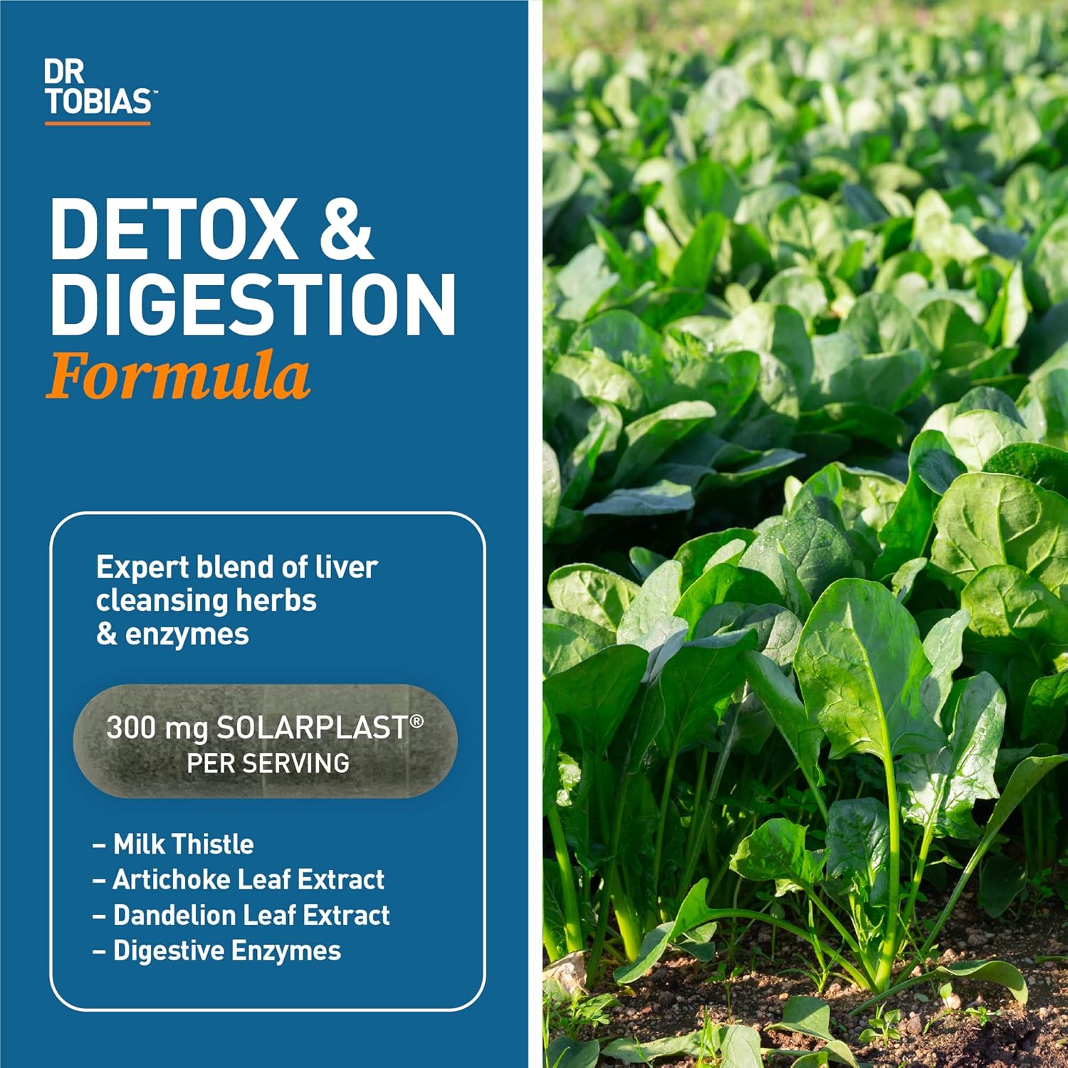 2 Pack Dr. Tobias Liver Cleanse 21 Day Detox with Solarplast, Artichoke, Milk Thistle, Dandelion, Digestive Enzymes - 63 Veg Capsules, 3 Daily