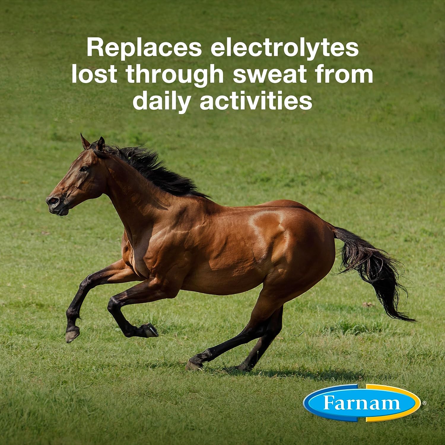 2 Pack Farnam Apple Elite Horse Electrolyte Powder, Replenishes Minerals Lost During Exercise, Extreme Weather, and Stress, 5 lb each