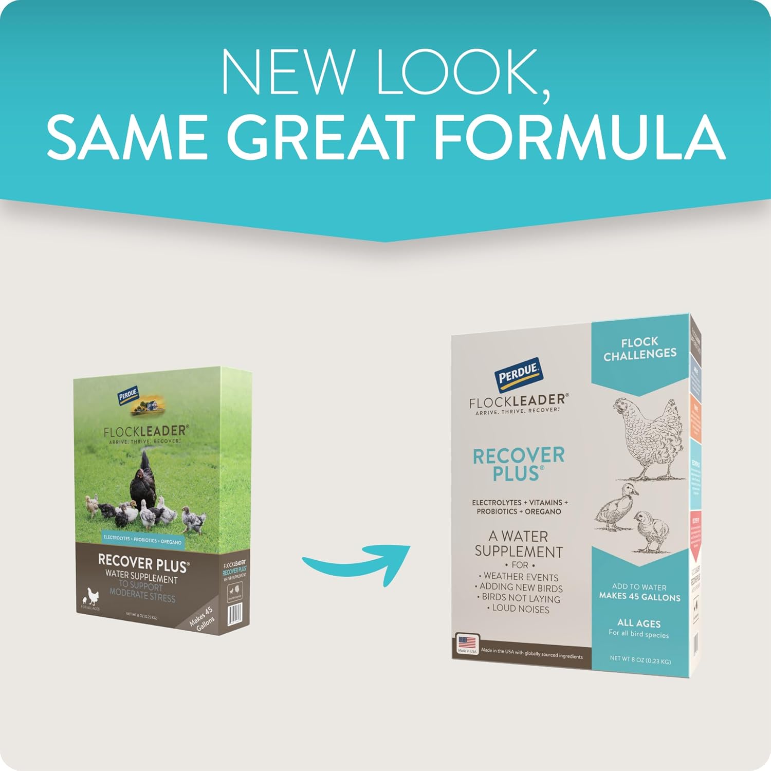 2-Pack FLOCKLEADER Recover Plus Probiotic Water Supplement for Chickens - Supports Moderate Stress, Electrolytes, Oregano - 8 oz