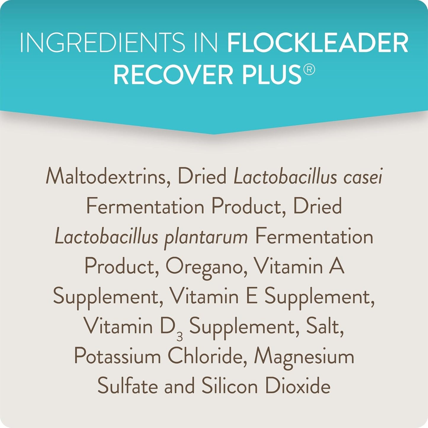2-Pack FLOCKLEADER Recover Plus Probiotic Water Supplement for Chickens - Supports Moderate Stress, Electrolytes, Oregano - 8 oz