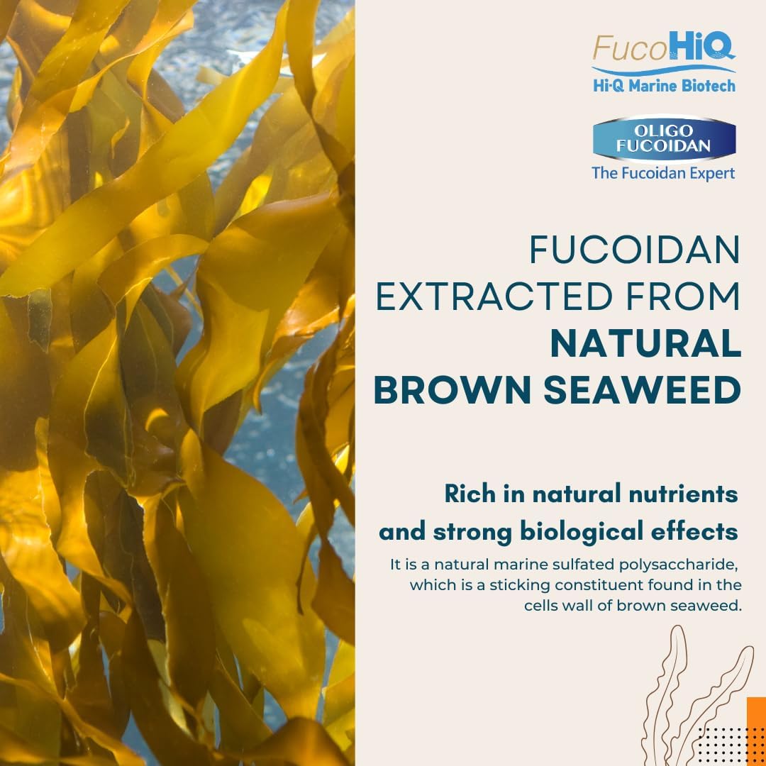 2 Pack Fucohiq Oligo Fucoidan Capsules - Doctor Recommended Immune Support Supplement - High Purity Seaweed Extract - Vegetarian - Halal Certified