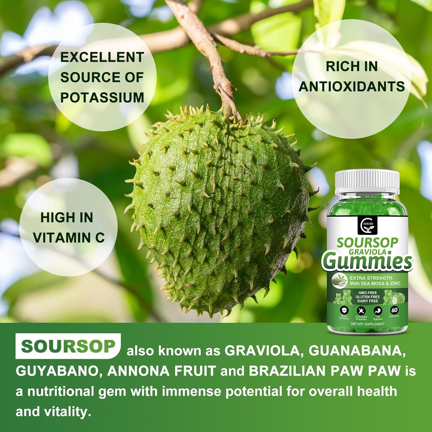 2 Pack GORNVB Soursop Graviola Gummies - 2200mg Extra Strength Extract with Sea Moss, Zinc, Vitamin C - Immunity, Liver, Digestive Support - Gluten Free, Vegan - 120 Gummies