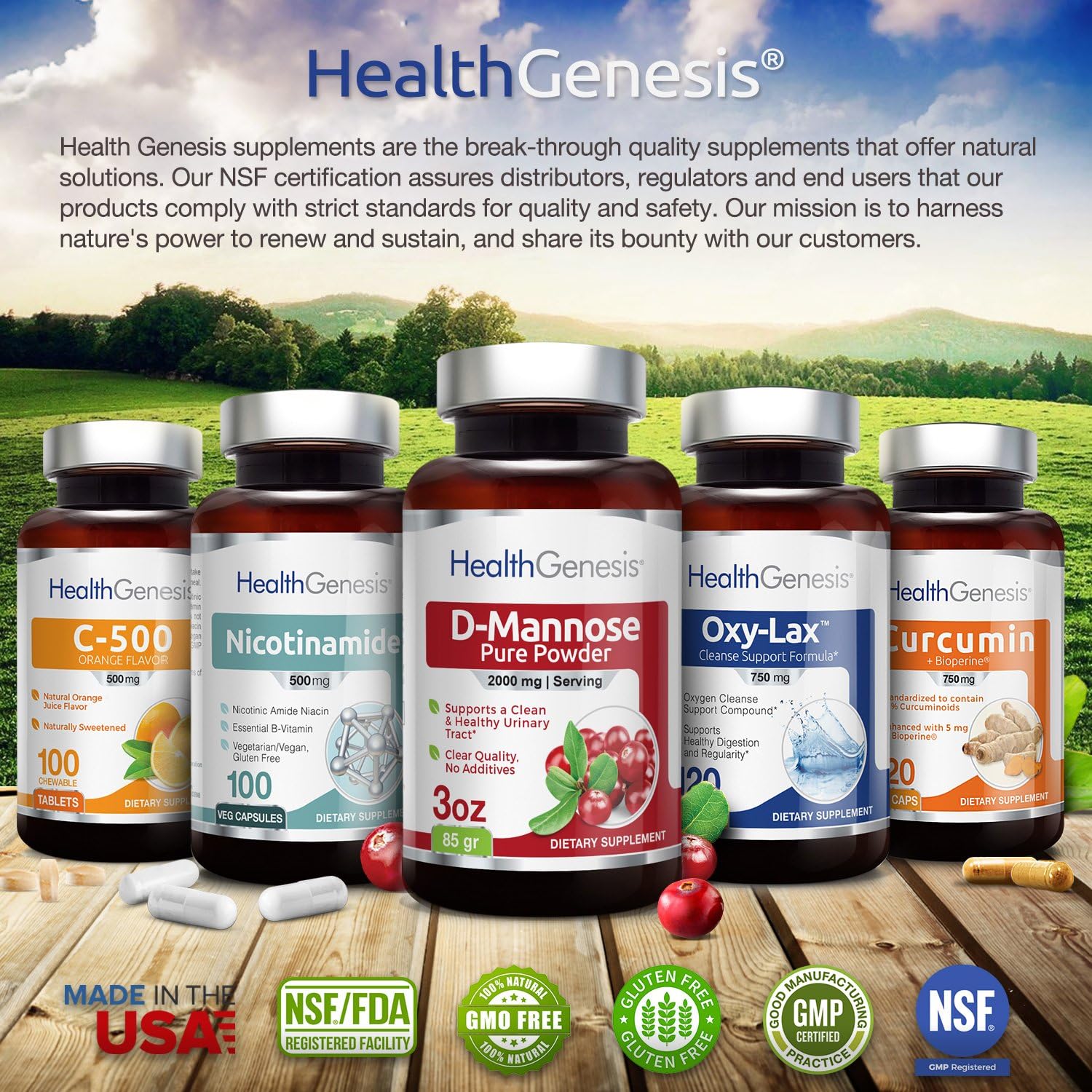 2 Pack Health Genesis B-3 Nicotinamide 500mg Capsules - Natural Flush-Free Niacin Vitamin for Skin Cell Health