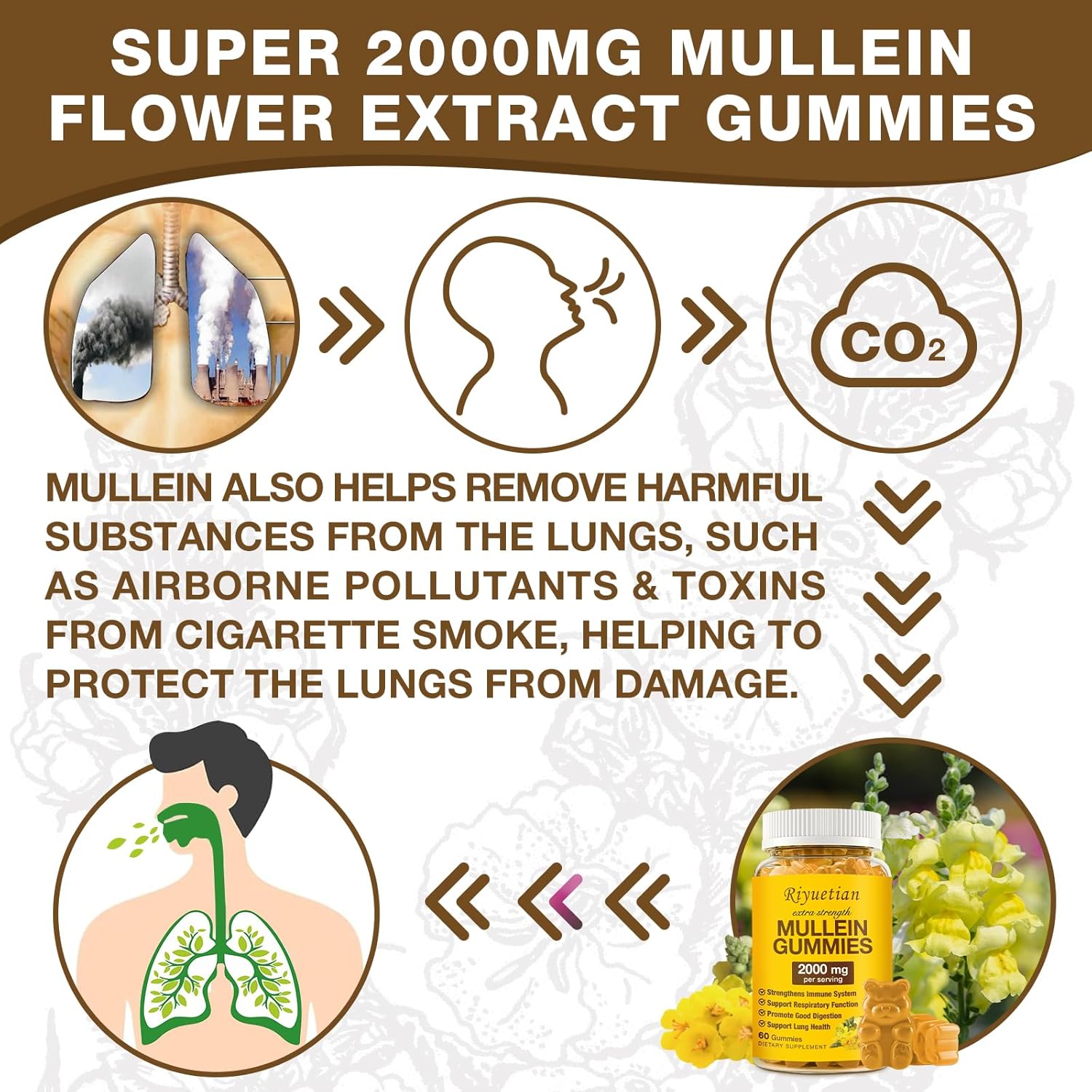 2 Pack Mullein Gummies 2000mg for Respiratory & Digestive Health - Immune Booster for Adults & Kids - Vegan, Non-GMO, 120 Gummies