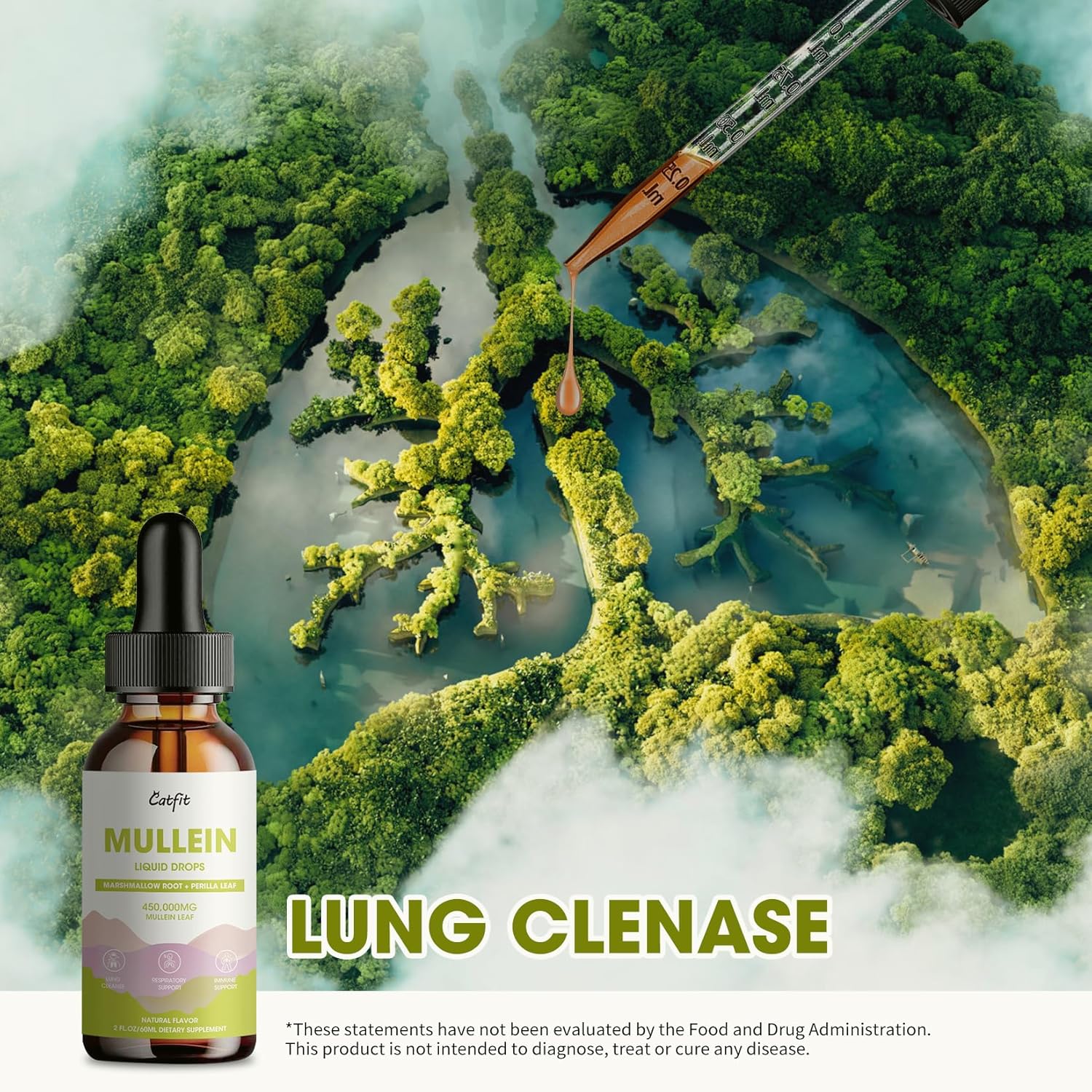 2 Pack Mullein Gummies and Drops for Lung Health - Mullein Leaf Extract for Respiratory Support