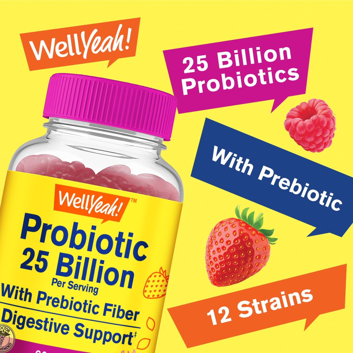 2 Pack Probiotic and Prebiotic Gummies for Men and Women - 25 Billion CFU with 12 Strains - Digestive and Immune Support - 60 Count