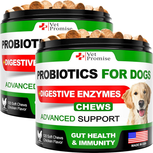 2 Pack Probiotic Chews for Dogs - Supports Gut Health, Skin Allergies, Immunity - Digestive Enzymes, Prebiotics for Diarrhea, Gas - 240 Dog Probiotics for Yeast Balance