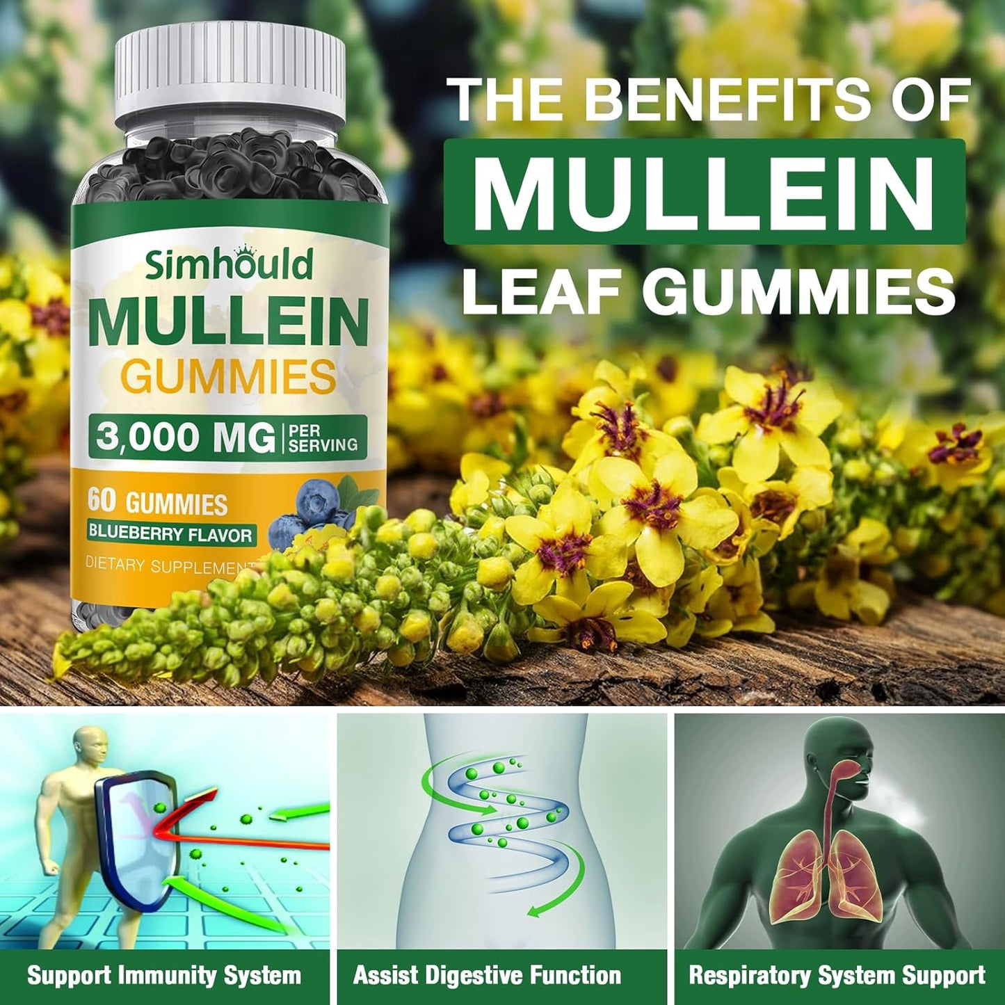 2 Pack Sugar Free 3000MG Mullein Gummies - Organic Lung Cleanse Supplement with Quercetin & Bromelain for Respiratory and Digestive Health