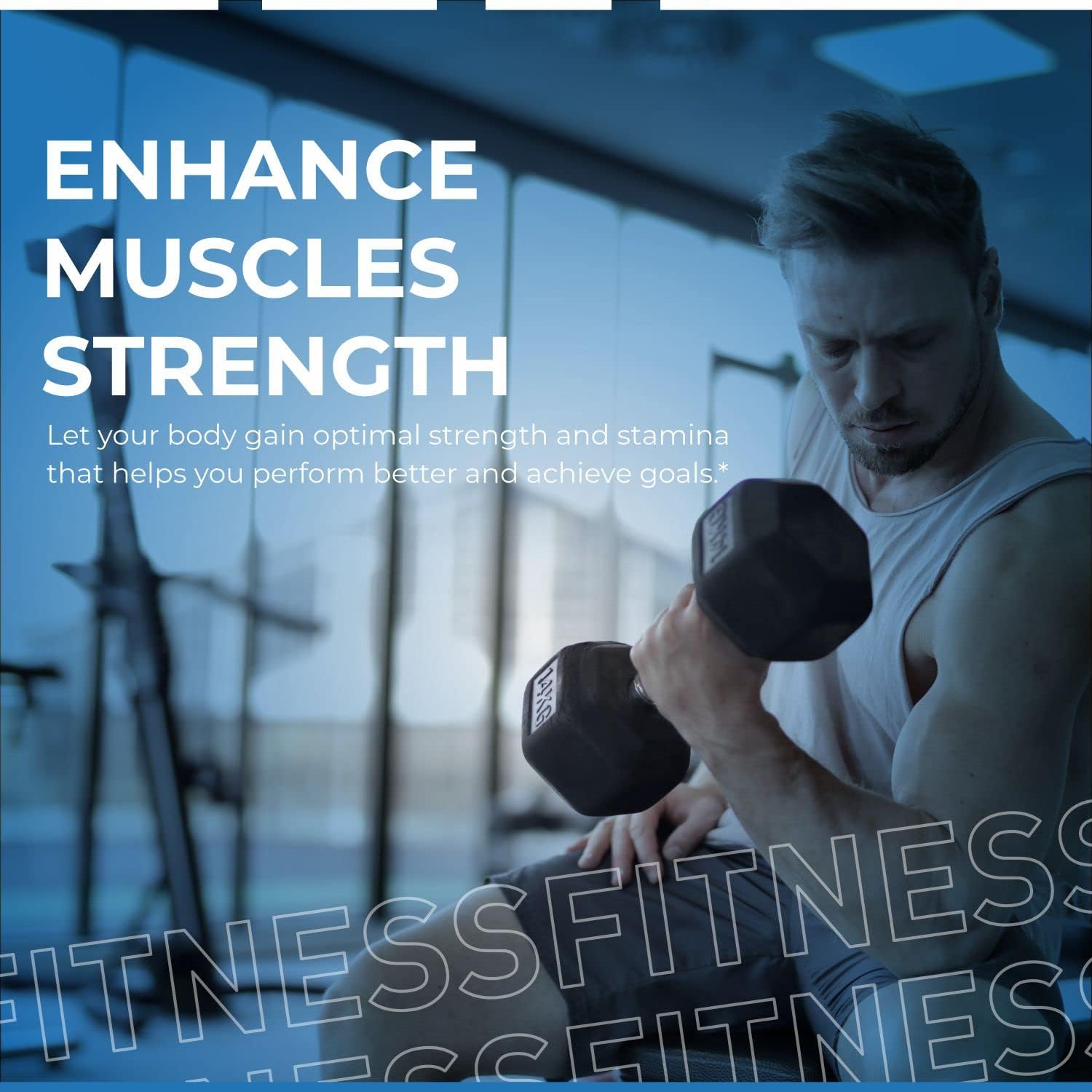 2 Pack VITASEI Testronix Men's Performance Supplement - Energy and Muscle Support - 120 Capsules