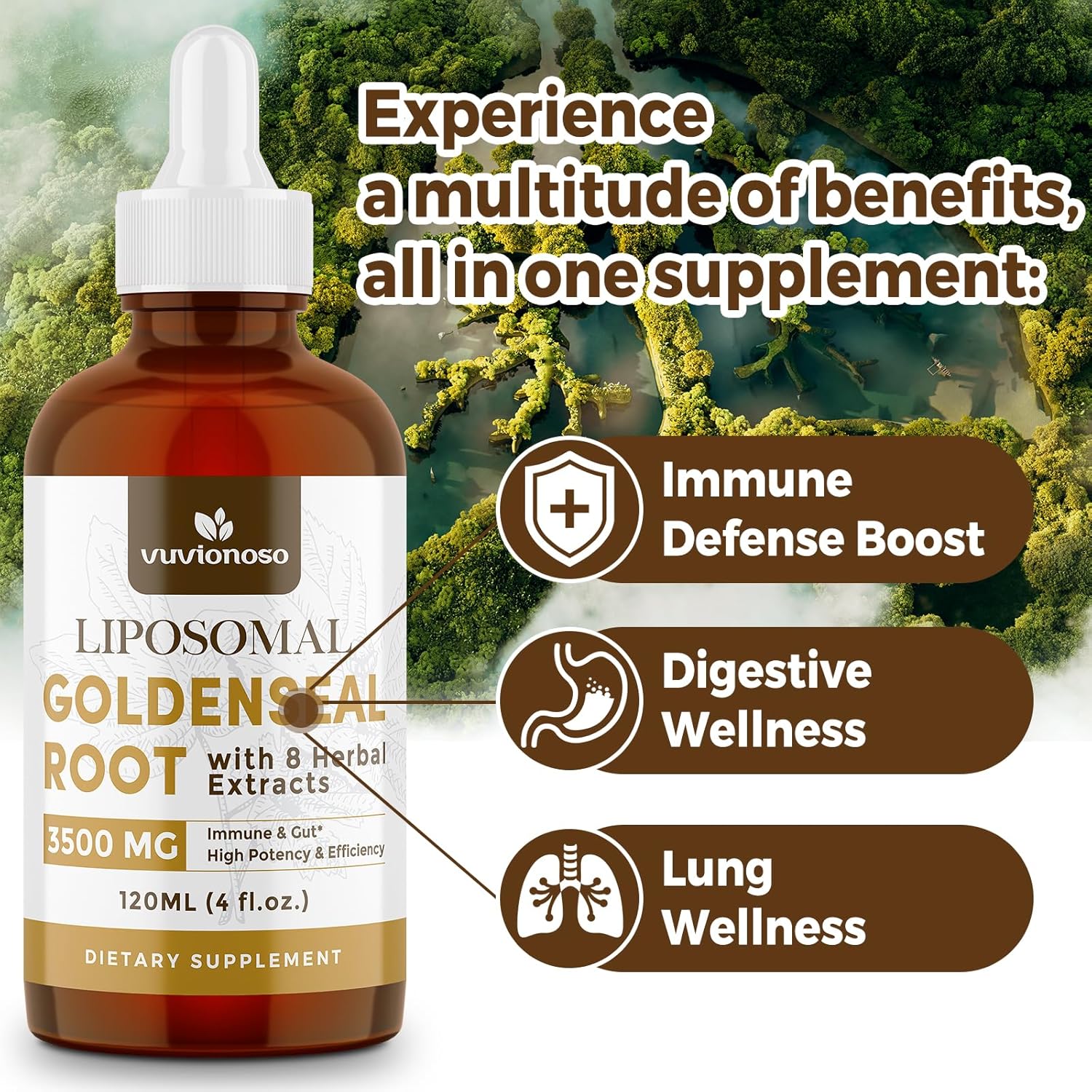2-Pack Vuvionoso Goldenseal Root Tincture 3000mg - Immune & Lung Support - Vegan, Sugar-Free Liquid Extract with Echinacea - 120ml