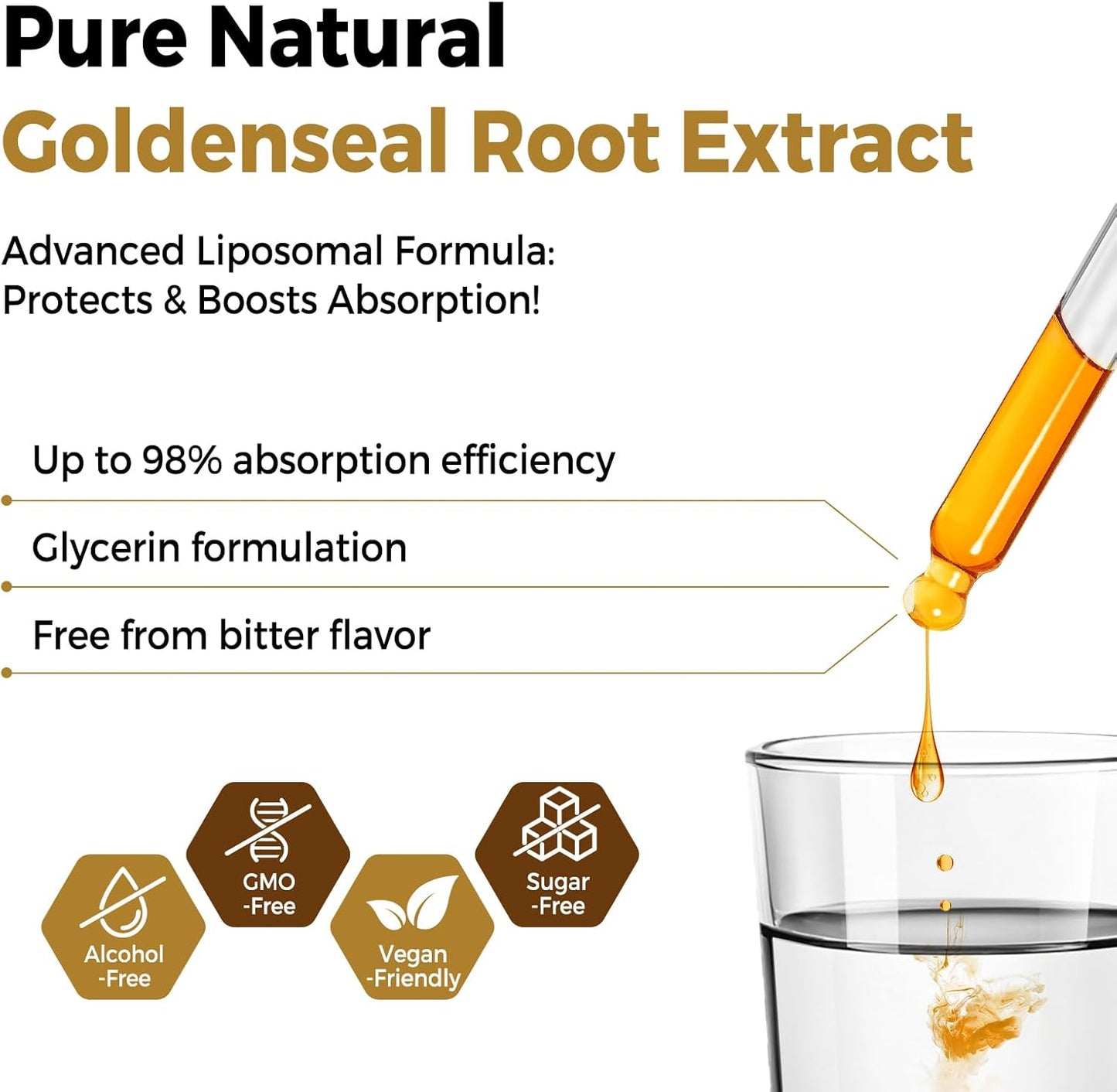 2-Pack Vuvionoso Goldenseal Root Tincture 3000mg - Immune & Lung Support - Vegan, Sugar-Free Liquid Extract with Echinacea - 120ml