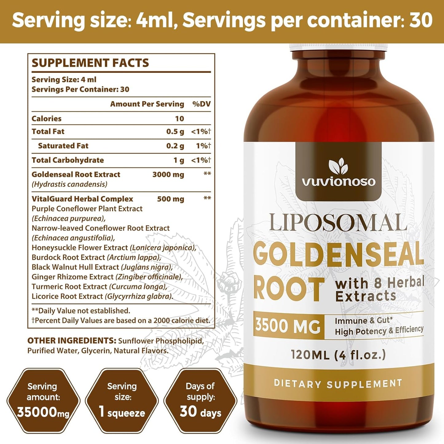 2-Pack Vuvionoso Goldenseal Root Tincture 3000mg - Immune & Lung Support - Vegan, Sugar-Free Liquid Extract with Echinacea - 120ml