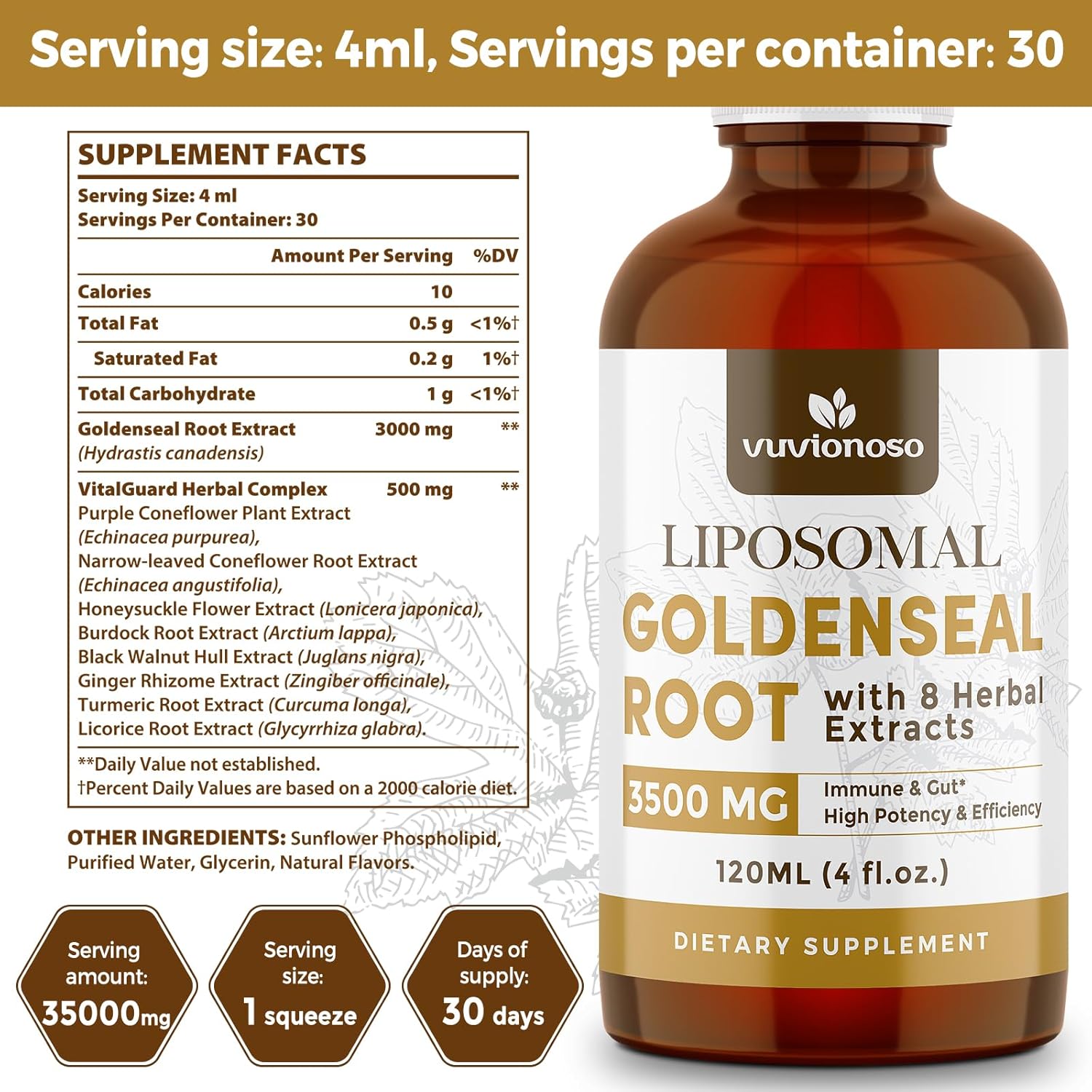 2-Pack Vuvionoso Goldenseal Root Tincture 3000mg - Immune & Lung Support - Vegan, Sugar-Free Liquid Extract with Echinacea - 120ml