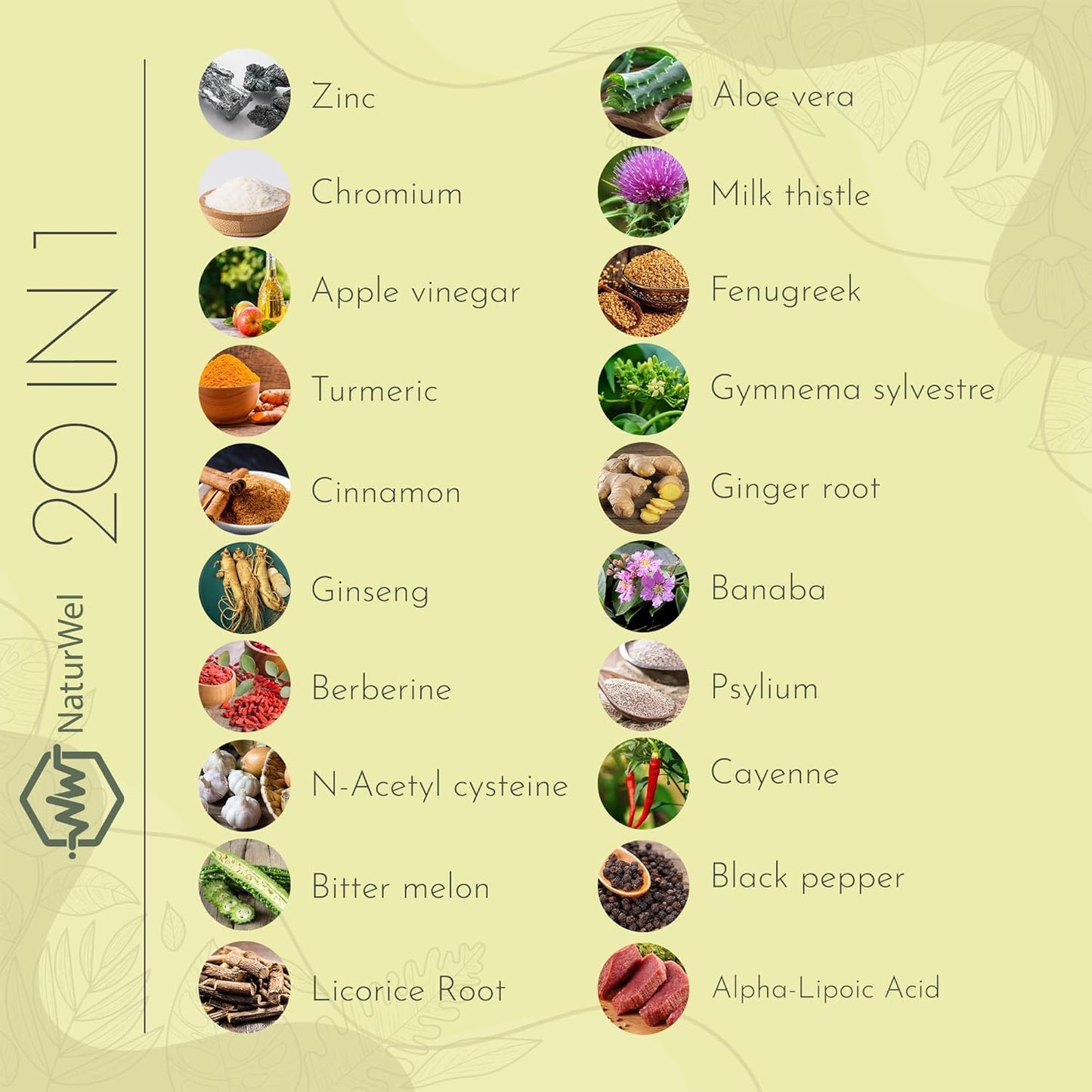 20-in-1 USA-Made Capsules with Ceylon Cinnamon, Ginseng, Turmeric, Apple Cider Vinegar, and More - 90 Count