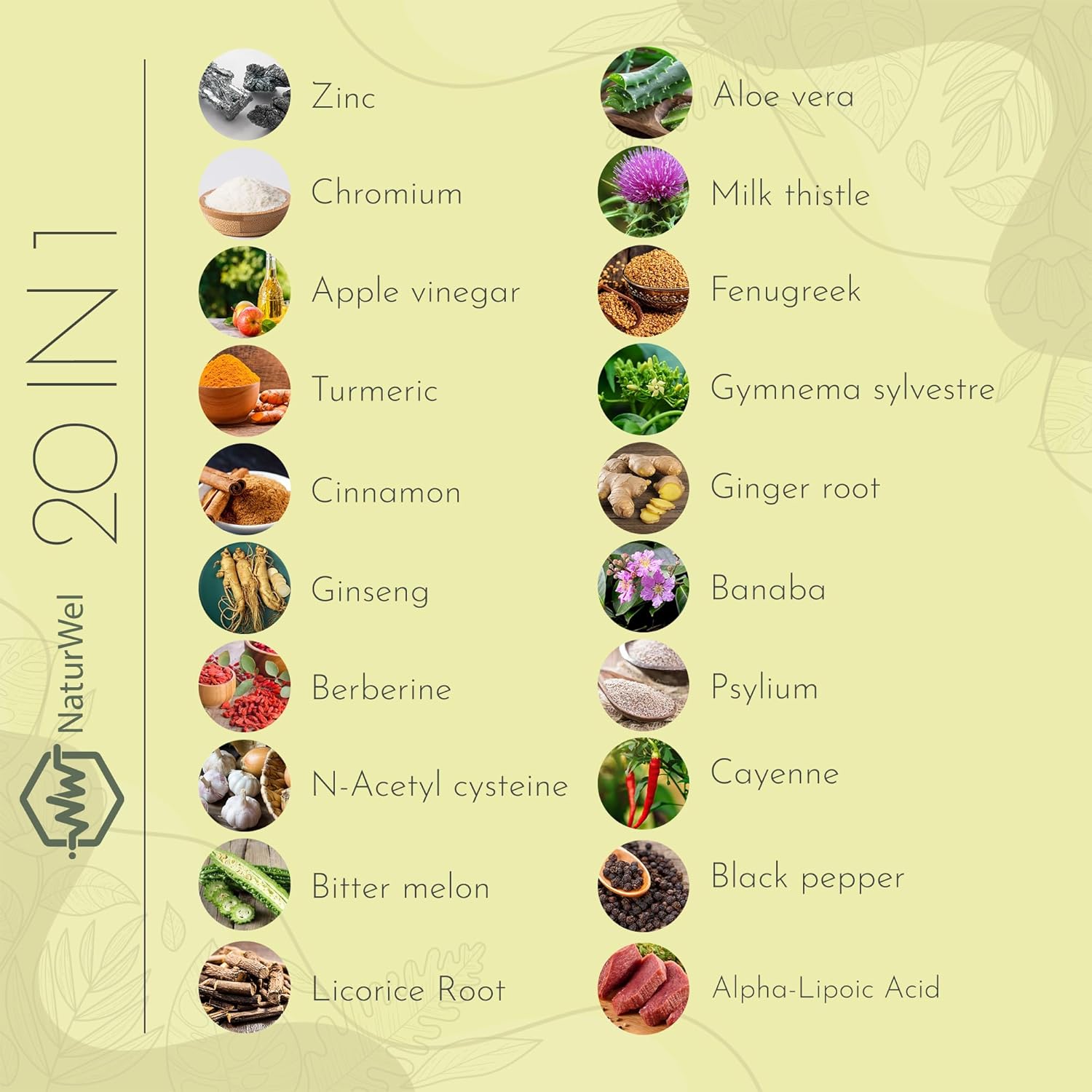 20-in-1 USA-Made Capsules with Ceylon Cinnamon, Ginseng, Turmeric, Apple Cider Vinegar, and More - 90 Count