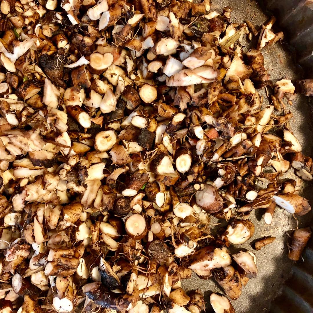 200 Pure Dandelion Root Capsules by Earthborn Elements - No Additives, Undiluted Formula