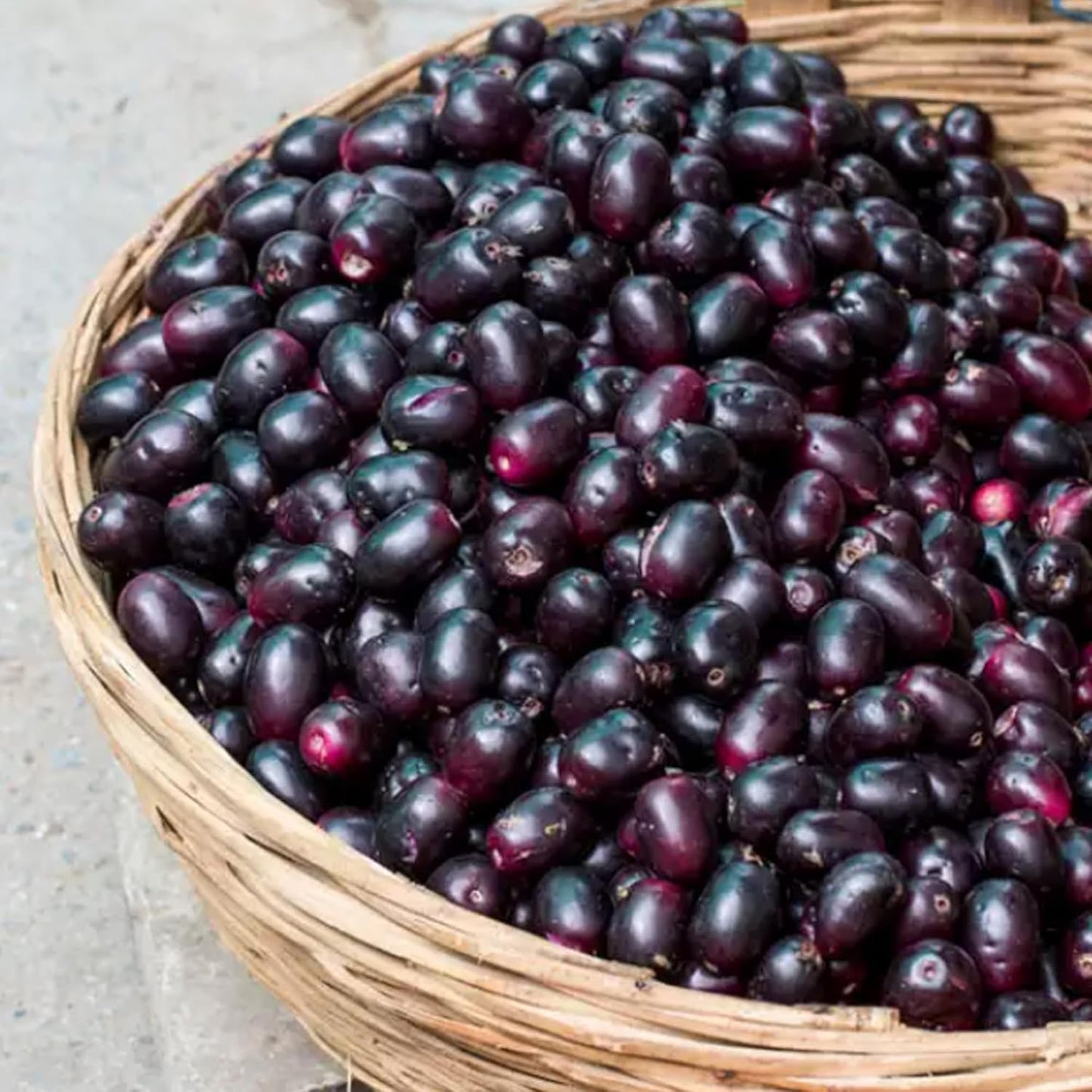 200 Pure & Undiluted Jamun Seed Capsules by Earthborn Elements - No Additives