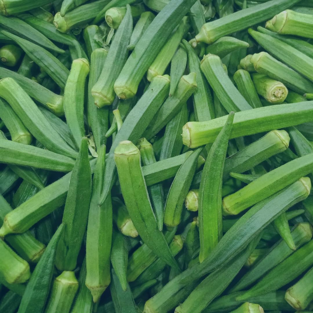 200 Pure & Undiluted Okra Extract Capsules by Earthborn Elements - No Additives