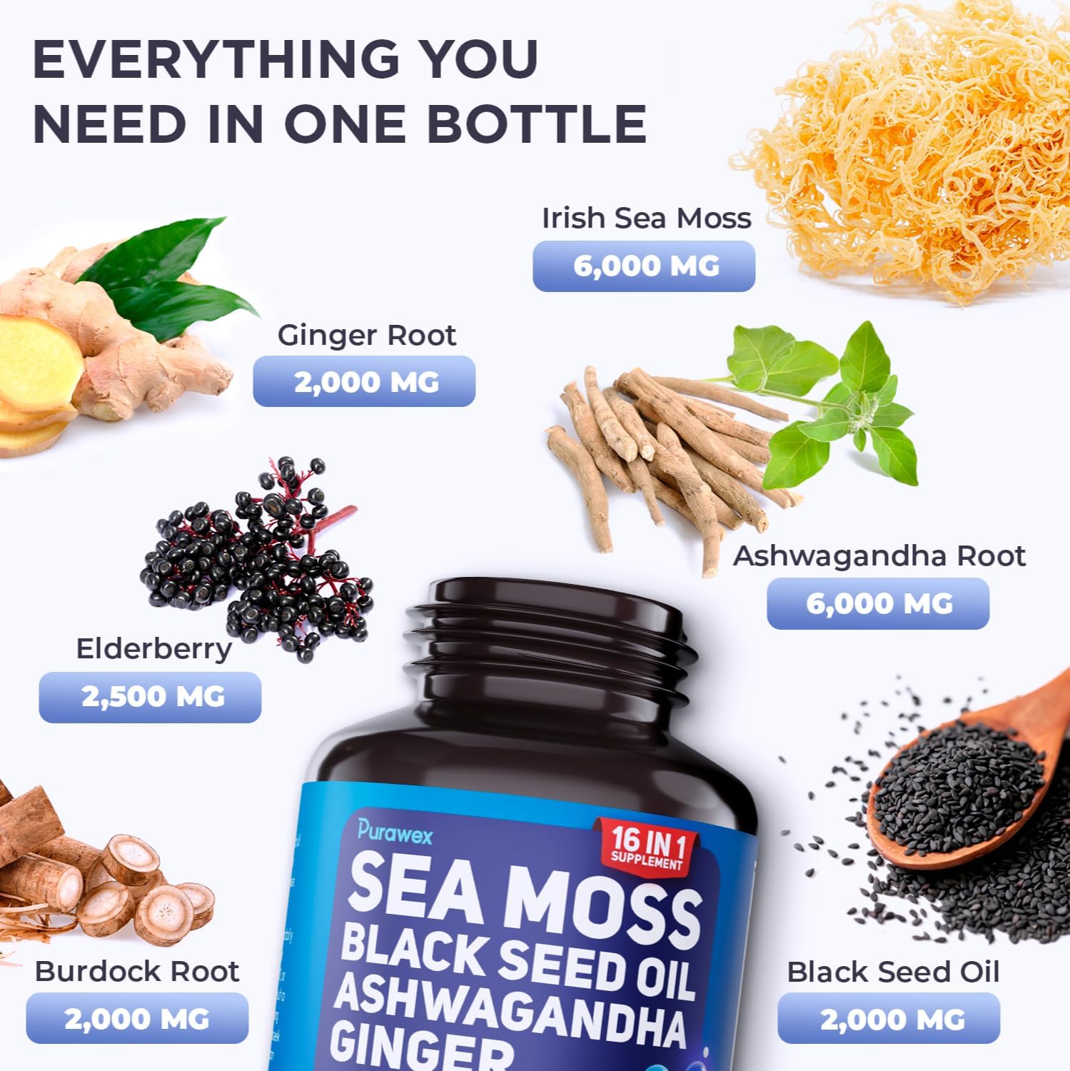 20,000mg Sea Moss, Ashwagandha, Black Seed Oil & Ginger Capsules - 60 Vegetarian Capsules - Organic Supplement