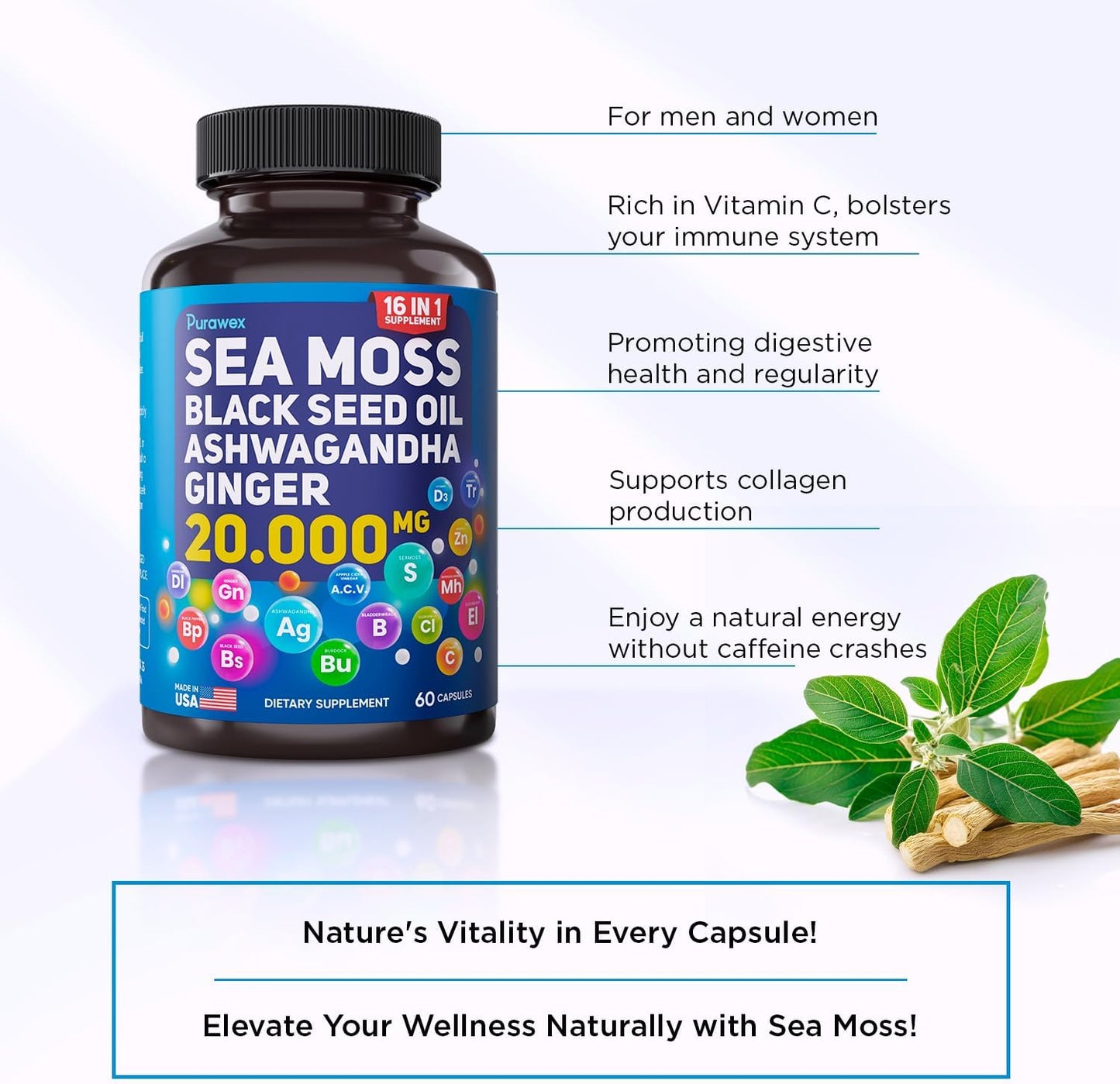 20,000mg Sea Moss, Ashwagandha, Black Seed Oil & Ginger Capsules - 60 Vegetarian Capsules - Organic Supplement
