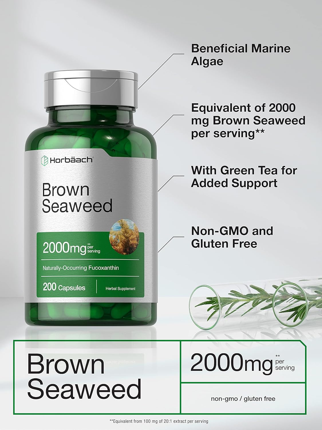 2000mg Brown Seaweed Extract Capsules - 200 Pills | Fucoxanthin Supplement | Non-GMO, Gluten Free