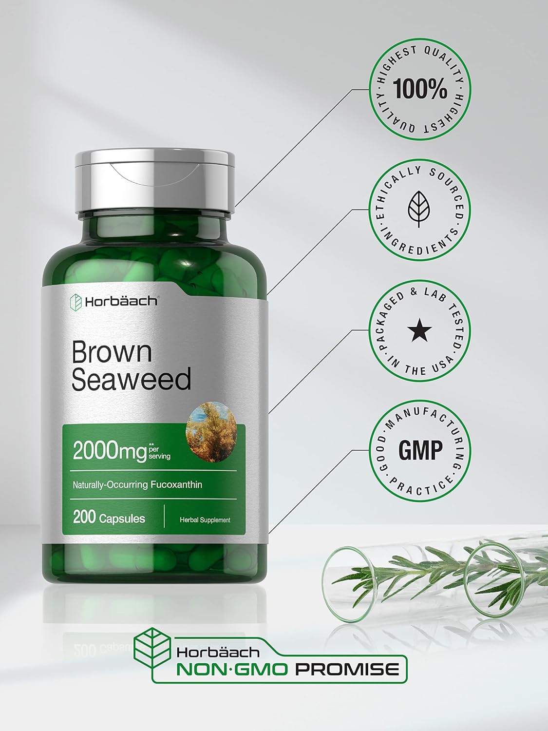 2000mg Brown Seaweed Extract Capsules - 200 Pills | Fucoxanthin Supplement | Non-GMO, Gluten Free