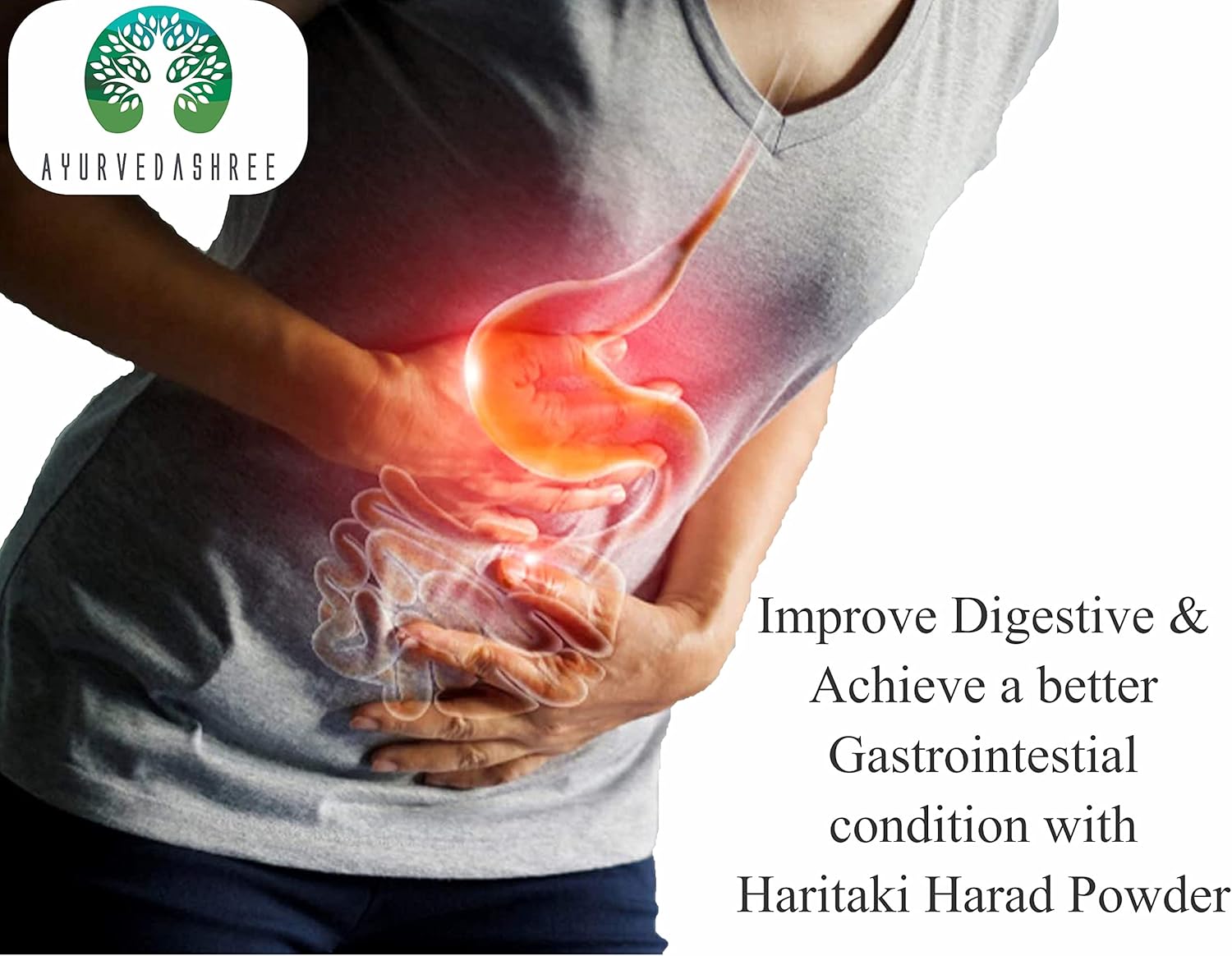 200g AYURVEDASHREE Terminalia Chebula Powder for Detox & Rejuvenation | Vata Balancer | Non-GMO, Gluten-Free, GMP Certified