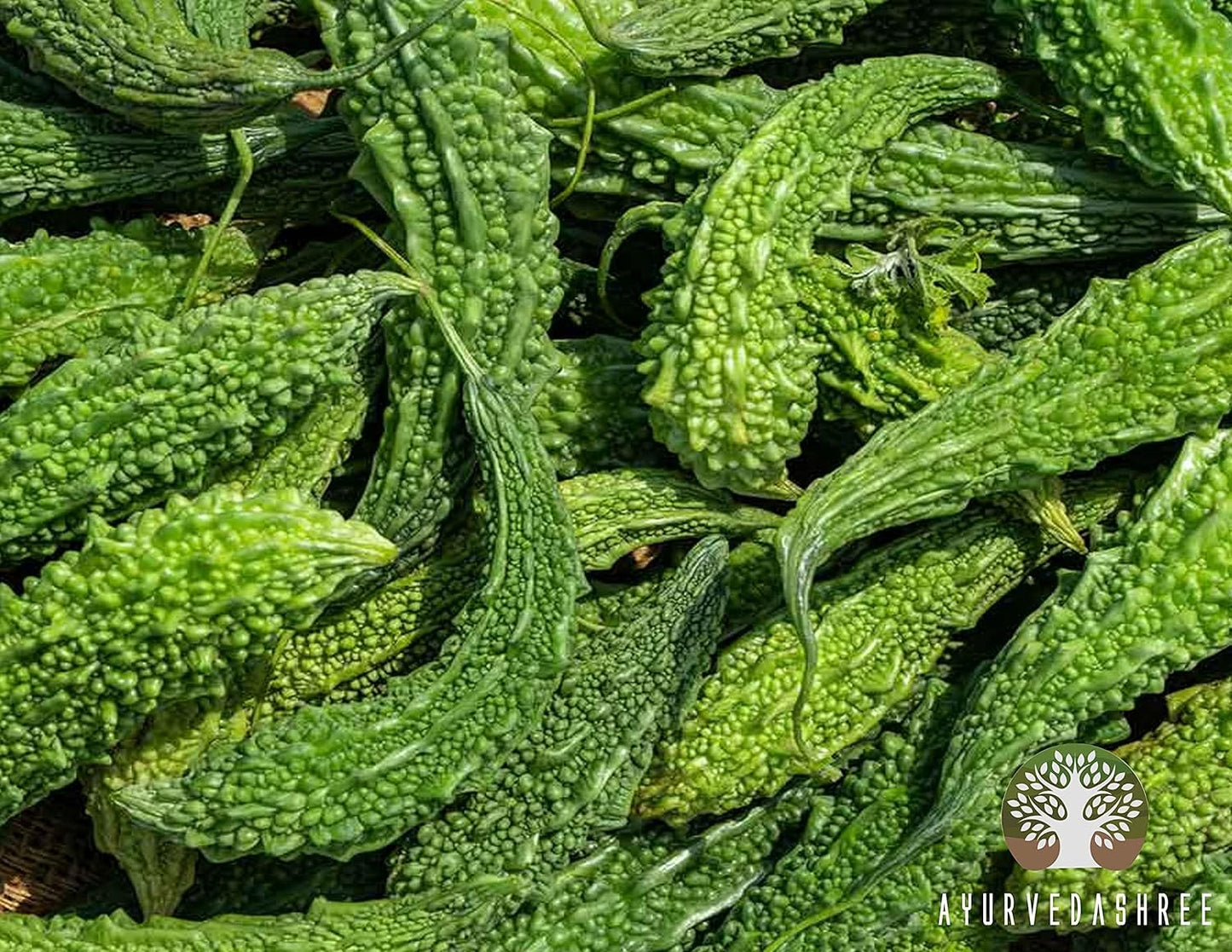 200g Ayurvedic Bitter Melon Powder - Liver & Skin Support Supplement - Momordica Charantia Fruit Powder - Digestive Health & Ayurvedic Herb