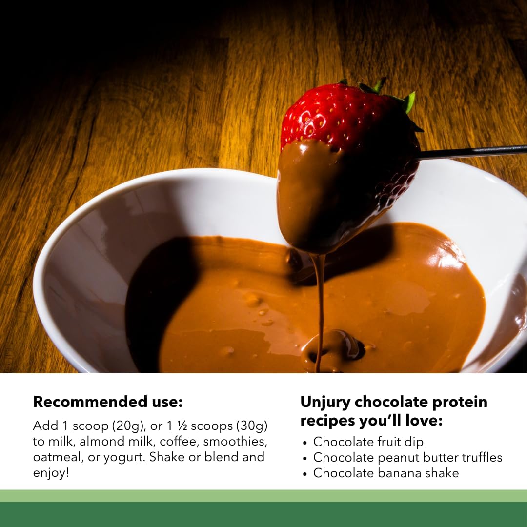 20g Chocolate Pea Protein Powder - Low Sugar Plant Protein Powder for Vegans - Gluten and Dairy Free - Non-GMO - 20 Servings