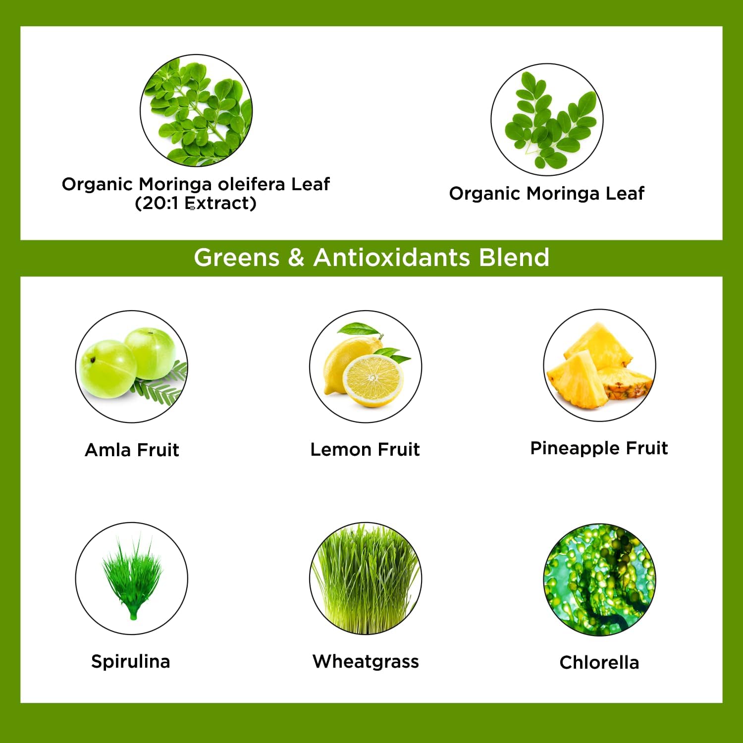 20x Concentrated Organic Veda Moringa Powder Super Greens Drink Mix with Wheatgrass, Spirulina, and Chlorophyll - Boost Energy & Immunity with Green Vitamin C - 30 Sachets