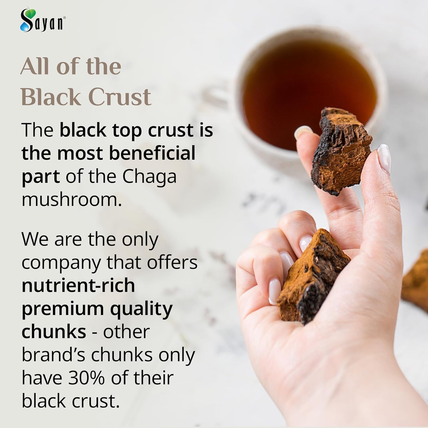 2.2 lb Sayan Siberian Wild-Harvested Raw Chaga Mushroom Chunks with Black Top Crust - Immune Support Tea for Focus and Digestive Health - Non-GMO - 35.2 Oz