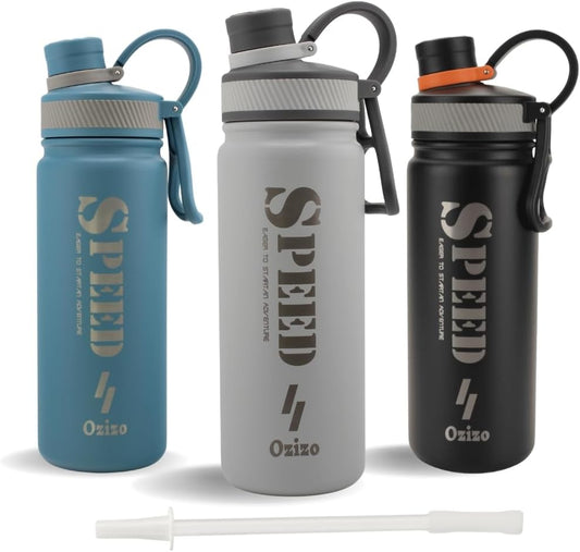 22 oz Stainless Steel Insulated Sport Water Bottle with Leakproof Sip Through Straw Lid