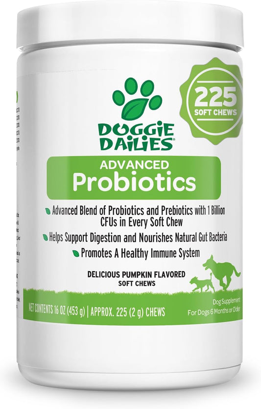 225 Dog Probiotic Soft Chews with Prebiotics for Digestive & Immune Health - Pumpkin Flavor