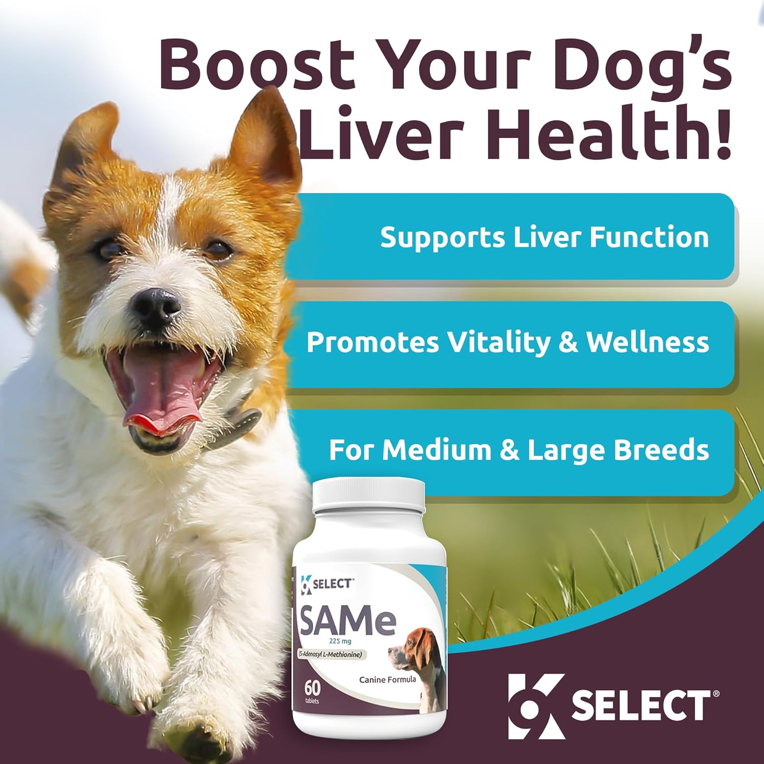 225mg SAM-e Liver Supplement for Medium & Large Dogs - Cognitive & Joint Health Nutrition - 60 Tablets - S-Adenosyl-L-Methionine Dog Liver Support