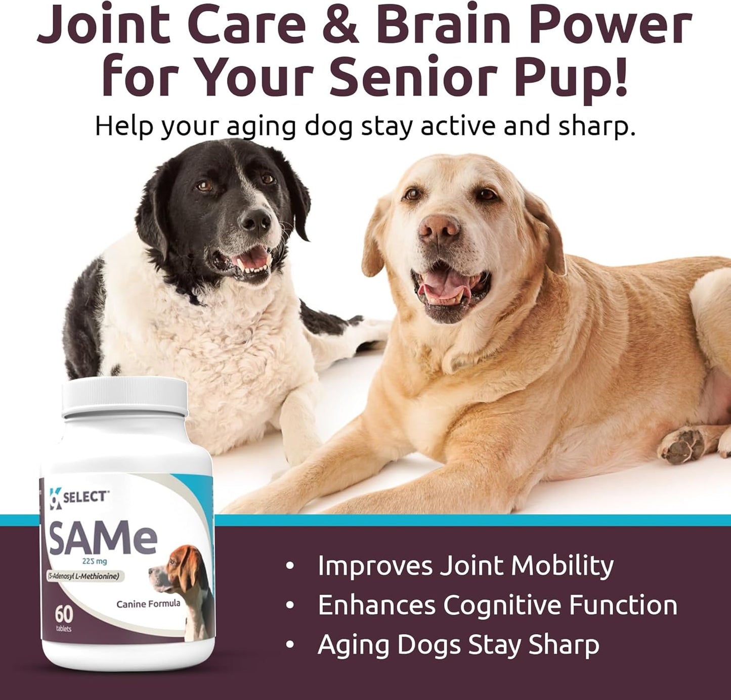 225mg SAM-e Liver Supplement for Medium & Large Dogs - Cognitive & Joint Health Nutrition - 60 Tablets - S-Adenosyl-L-Methionine Dog Liver Support
