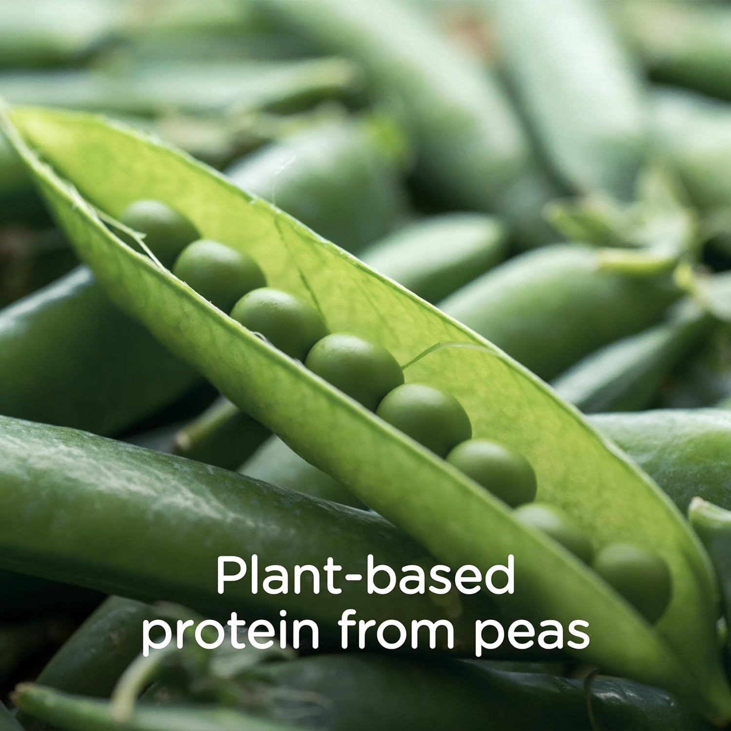 24 Pack of Vanilla Flavored Plant-Based Nutritionally Complete Shake for Pediatric Tube Feeding - 250mL Standard Size