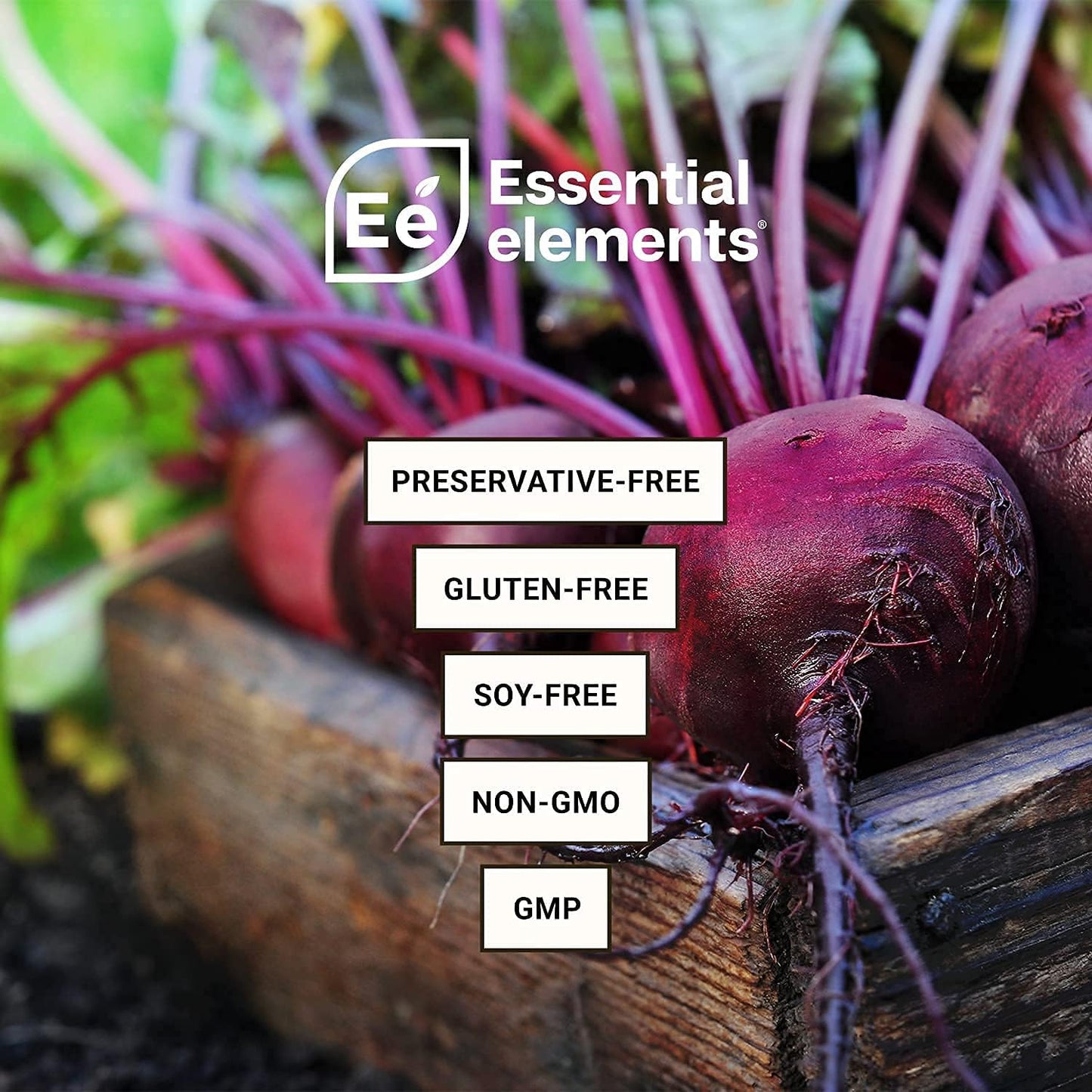 24 Packets Variety Sugar Free Hydration Powder & PreWorkout with ACV | Daily Hydration, Energy Boost, Nitric Oxide & Caffeine