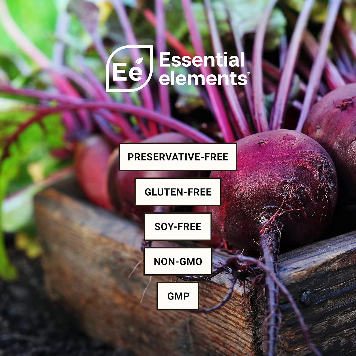 24 Packets Variety Sugar Free Hydration Powder & PreWorkout with ACV | Daily Hydration, Energy Boost, Nitric Oxide & Caffeine