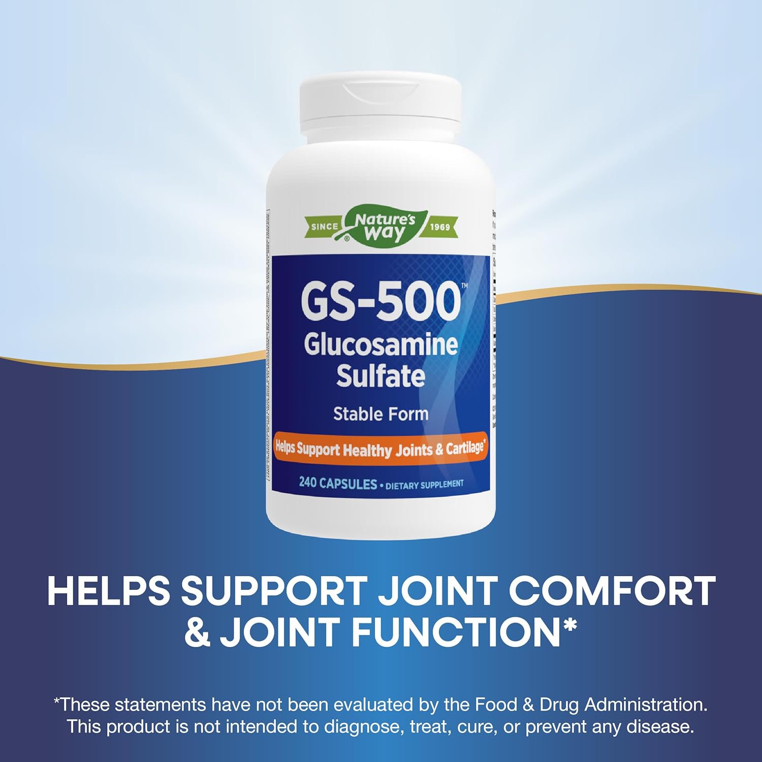 240 Capsules Nature's Way GS-500 Glucosamine Sulfate for Joint Health Support