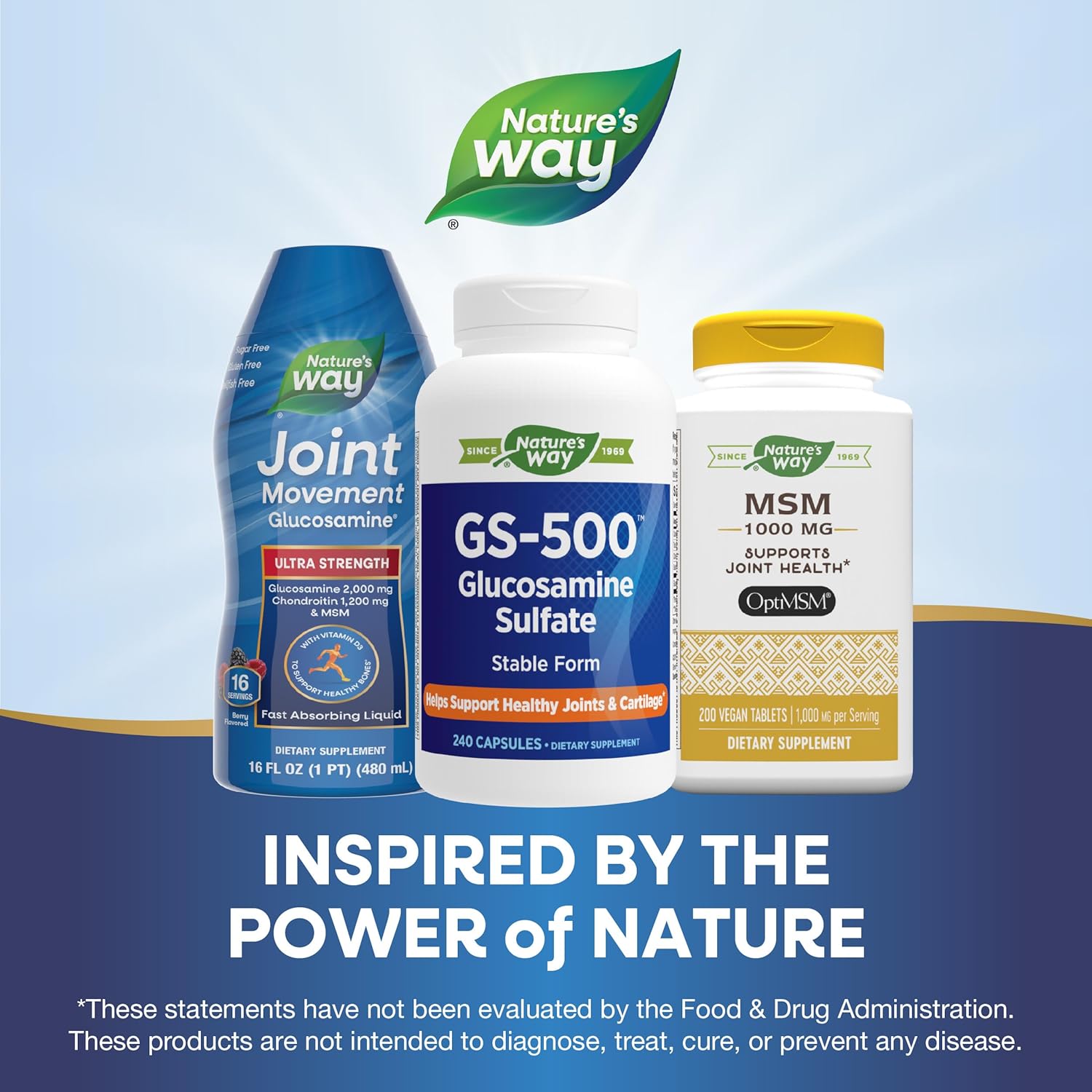 240 Capsules Nature's Way GS-500 Glucosamine Sulfate for Joint Health Support