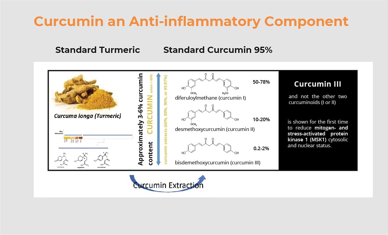 240 Capsules of Pro NovoCurcumin-BioBDMC50: Next Generation Highly Enhanced Curcumin