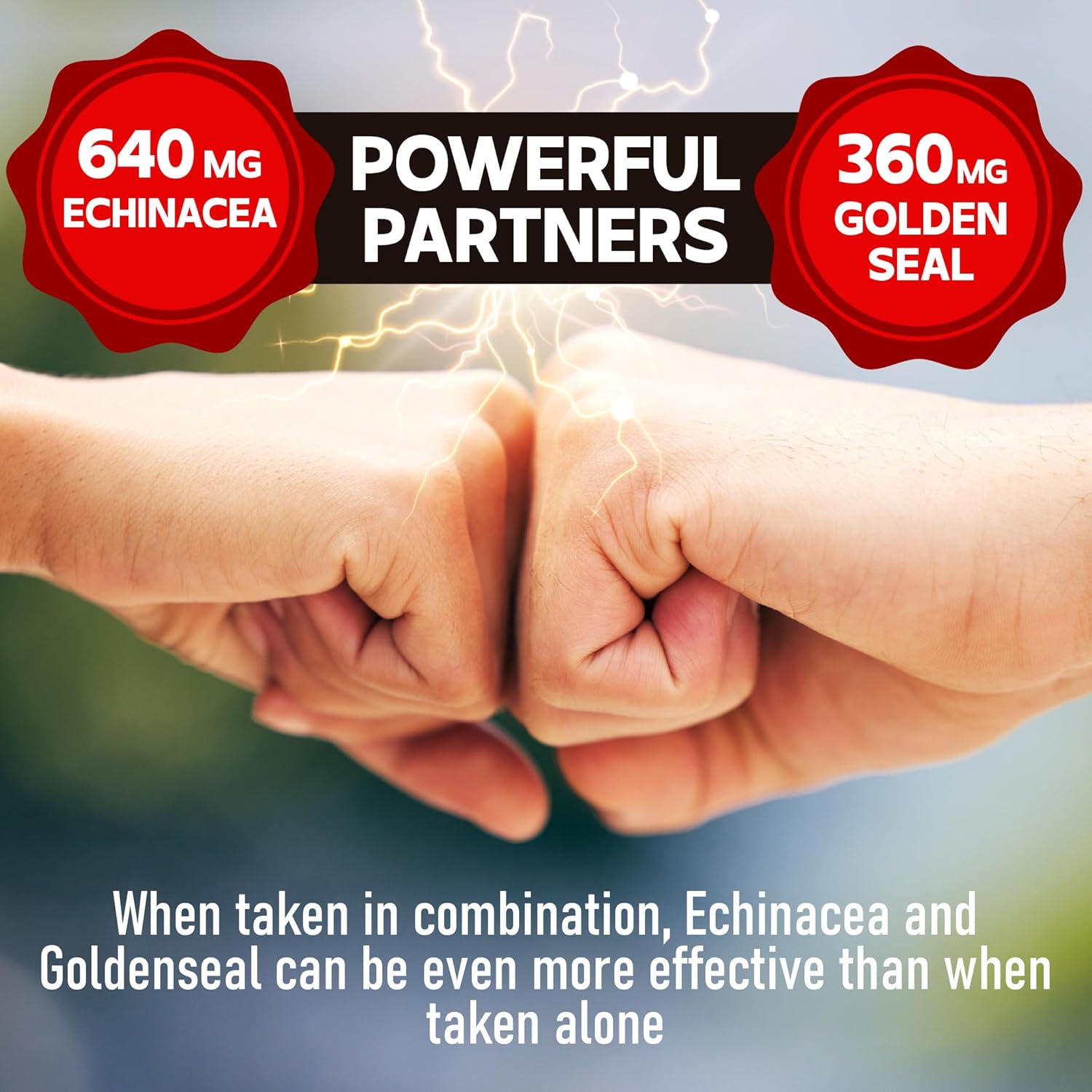 240 Count DEDICAD 1000mg Echinacea Goldenseal Capsules for Immune System Support & Overall Health - 4 Month Supply