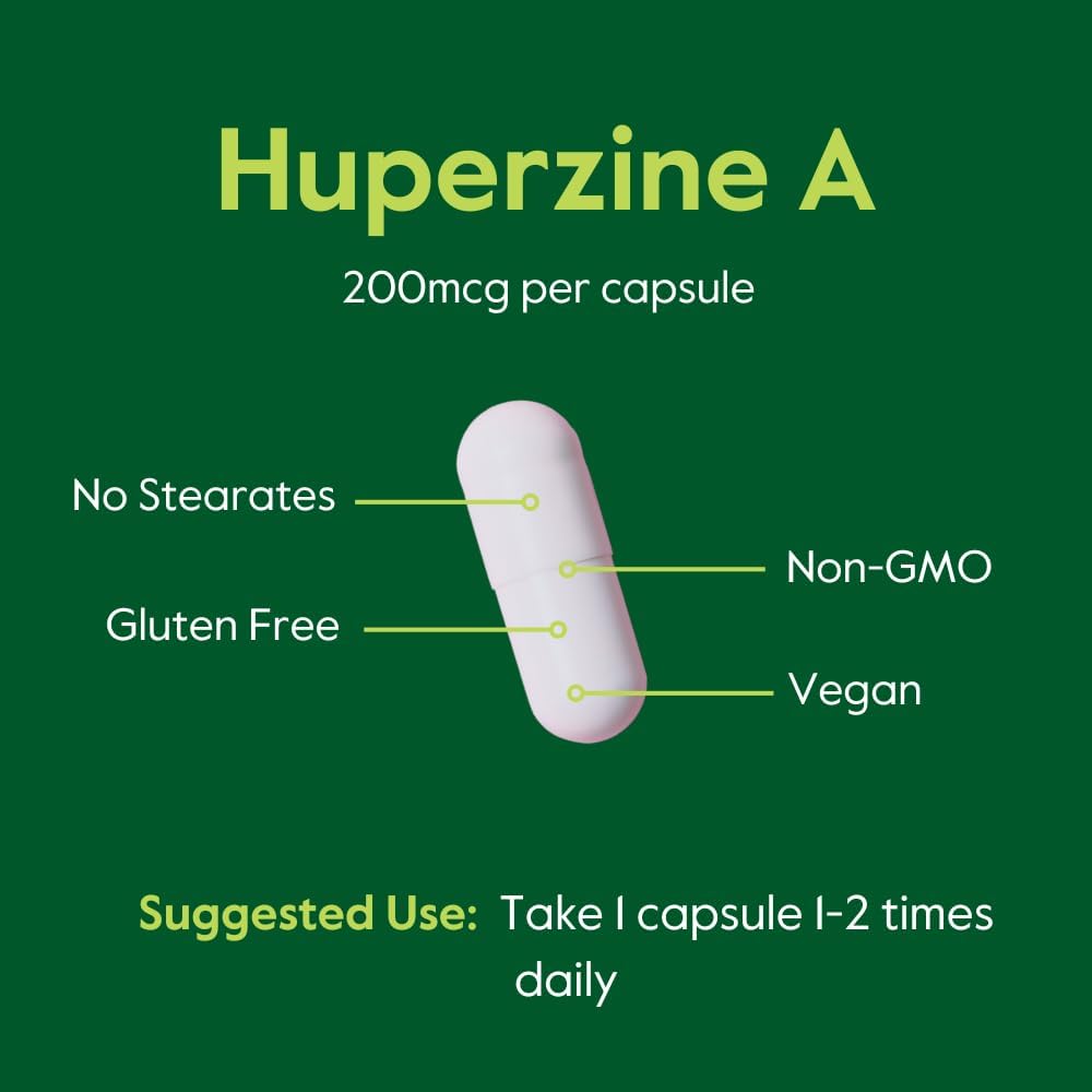 240 Vegetarian Capsules of BESTVITE Huperzine A 200mcg - Vegan, Non GMO, Gluten Free - Double Pack (120 x 2) with No Stearates or Flow Agents