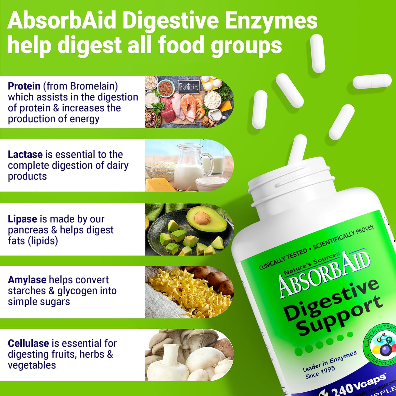 240 Veggie Capsules of AbsorbAid Original Formula Digestive Support Enzyme Supplement