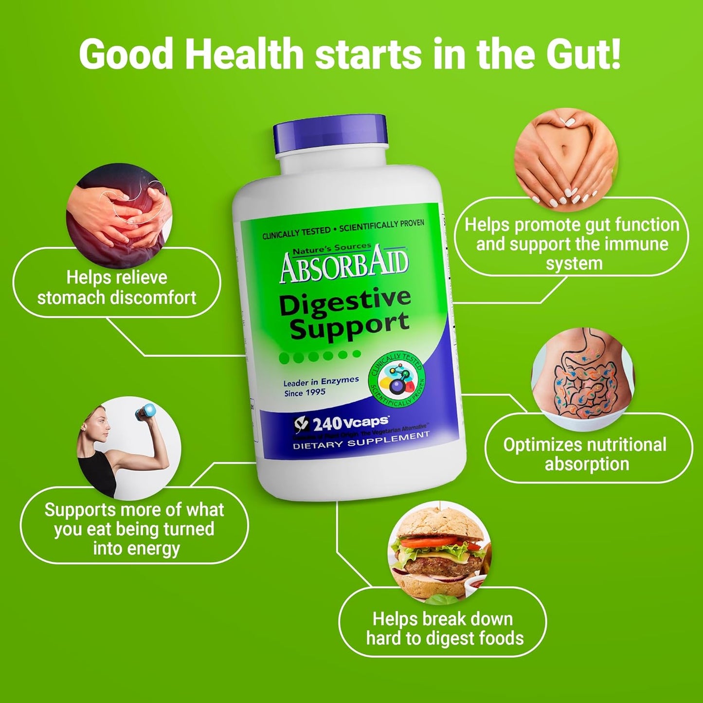 240 Veggie Capsules of AbsorbAid Original Formula Digestive Support Enzyme Supplement