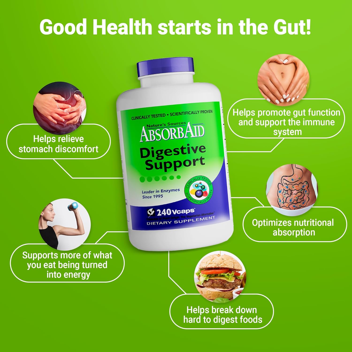 240 Veggie Capsules of AbsorbAid Original Formula Digestive Support Enzyme Supplement