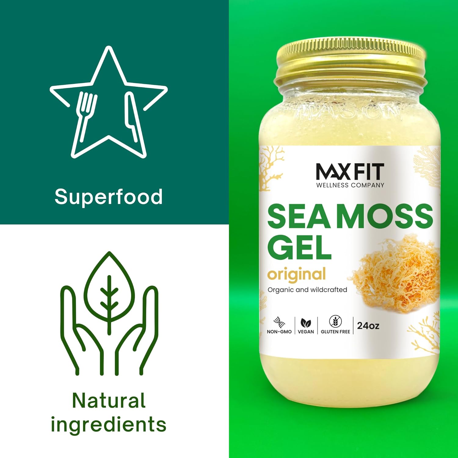 24oz MAX FIT Organic Raw Sea Moss Gel from Saint Lucia - 12 Flavors | Wildcrafted Gold Sea Moss | 92 Vitamins & Minerals | Non-GMO Vegan Superfood