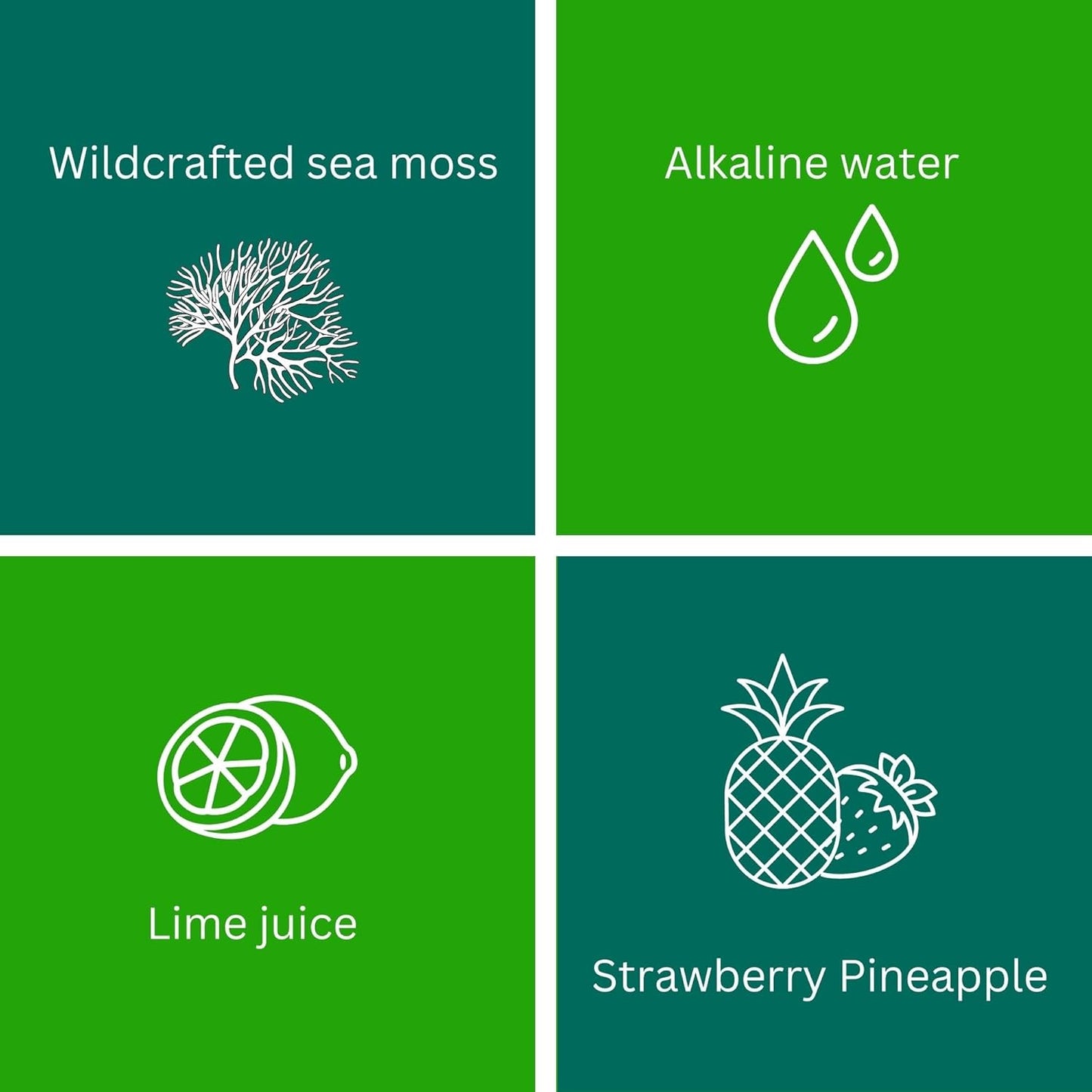 24oz MAX FIT Wildcrafted Gold Sea Moss Gel from Saint Lucia | 92 Vitamins & Minerals | Pure Raw Non-GMO Vegan Superfood